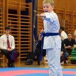 des "Shiai Karate Do" Vereins Wien