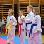 des "Shiai Karate Do" Vereins Wien