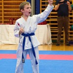 des "Shiai Karate Do" Vereins Wien