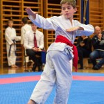 des "Shiai Karate Do" Vereins Wien