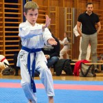 des "Shiai Karate Do" Vereins Wien