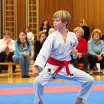 des "Shiai Karate Do" Vereins Wien