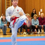 des "Shiai Karate Do" Vereins Wien