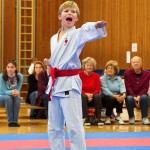 des "Shiai Karate Do" Vereins Wien