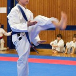 des "Shiai Karate Do" Vereins Wien