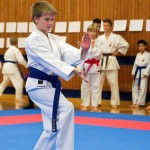 des "Shiai Karate Do" Vereins Wien