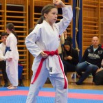 des "Shiai Karate Do" Vereins Wien