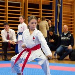 des "Shiai Karate Do" Vereins Wien