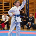 des "Shiai Karate Do" Vereins Wien