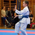 des "Shiai Karate Do" Vereins Wien