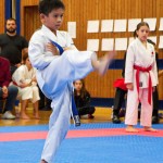 des "Shiai Karate Do" Vereins Wien