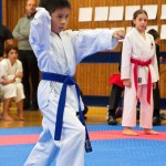 des "Shiai Karate Do" Vereins Wien