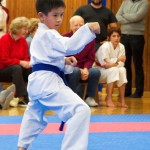 des "Shiai Karate Do" Vereins Wien