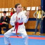 des "Shiai Karate Do" Vereins Wien