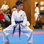 des "Shiai Karate Do" Vereins Wien