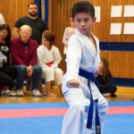 des "Shiai Karate Do" Vereins Wien