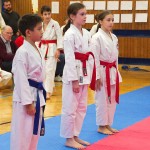 des "Shiai Karate Do" Vereins Wien