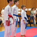 des "Shiai Karate Do" Vereins Wien