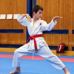 des "Shiai Karate Do" Vereins Wien