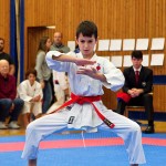 des "Shiai Karate Do" Vereins Wien