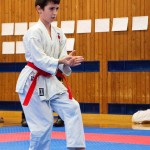 des "Shiai Karate Do" Vereins Wien