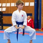 des "Shiai Karate Do" Vereins Wien