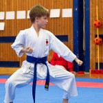 des "Shiai Karate Do" Vereins Wien