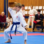 des "Shiai Karate Do" Vereins Wien