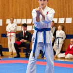 des "Shiai Karate Do" Vereins Wien