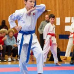 des "Shiai Karate Do" Vereins Wien