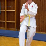 des "Shiai Karate Do" Vereins Wien