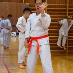 des "Shiai Karate Do" Vereins Wien