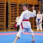 des "Shiai Karate Do" Vereins Wien