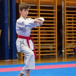 des "Shiai Karate Do" Vereins Wien