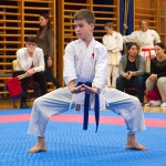 des "Shiai Karate Do" Vereins Wien