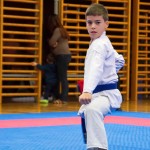 des "Shiai Karate Do" Vereins Wien