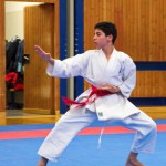 des "Shiai Karate Do" Vereins Wien