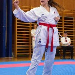 des "Shiai Karate Do" Vereins Wien