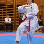 des "Shiai Karate Do" Vereins Wien