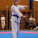 des "Shiai Karate Do" Vereins Wien