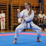 des "Shiai Karate Do" Vereins Wien