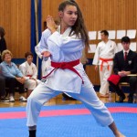 des "Shiai Karate Do" Vereins Wien