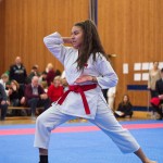 des "Shiai Karate Do" Vereins Wien