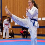 des "Shiai Karate Do" Vereins Wien