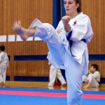 des "Shiai Karate Do" Vereins Wien