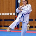 des "Shiai Karate Do" Vereins Wien