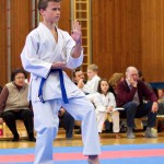 des "Shiai Karate Do" Vereins Wien