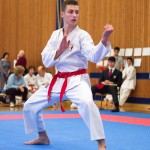 des "Shiai Karate Do" Vereins Wien