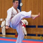 des "Shiai Karate Do" Vereins Wien