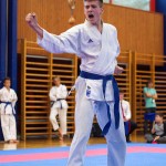 des "Shiai Karate Do" Vereins Wien